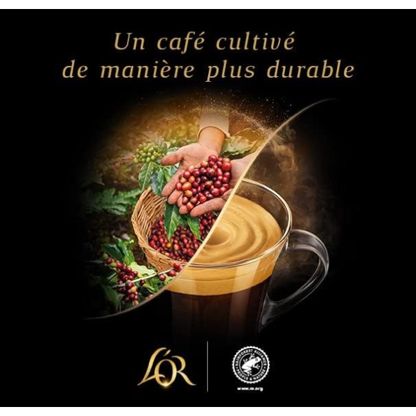 L'Or Capsules Café Intensité 10 - Forza - T10