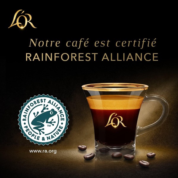 L'Or Capsules Café Intensité 10 - Forza - T50