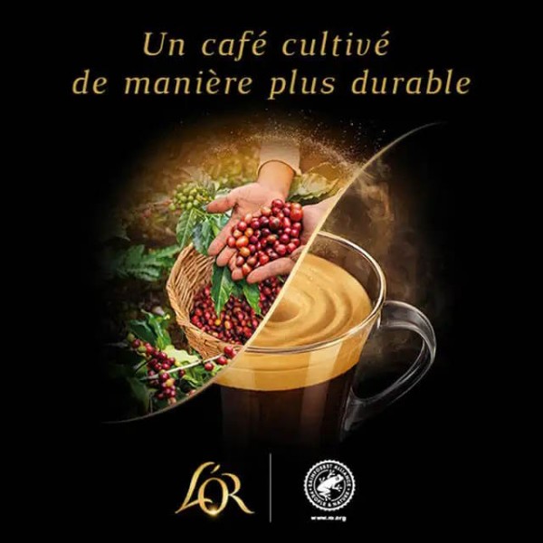 L'Or Capsules Café XXL Intensité 8 - Extra Long - T10 (Compatible Barista)