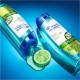 HEAD & SHOULDERS Pack de 2 Shampoings Pure Intense Sébo-Régulateur Antipelliculaire - Au Citron (2x250 ml)