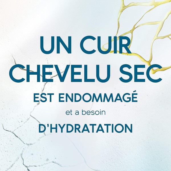 HEAD & SHOULDERS Shampoing DERMAxPRO Antipelliculaire Revitalise Expert Cuir Chevelu + Crème de Soins (225 ml)